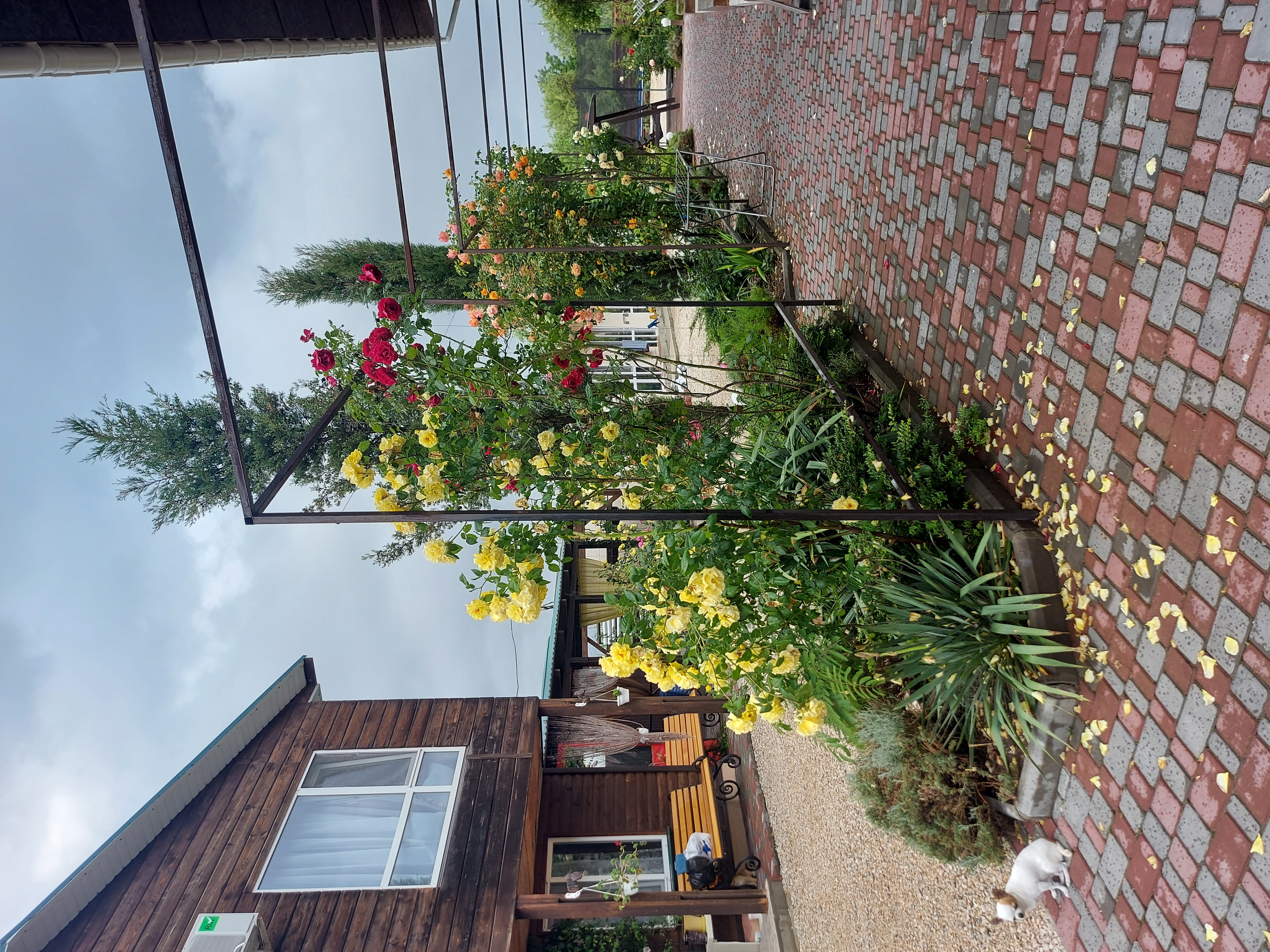 Фото Хороший гость