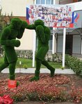 Realnaya Sila (Bavarskaya ulitsa, 8), sports school