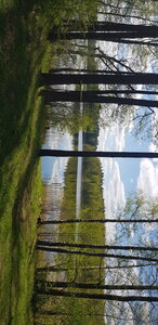 Латгальское городище (Pskov Region, Sebezhskiy District, gorodskoye poseleniye Idritsa), atracción