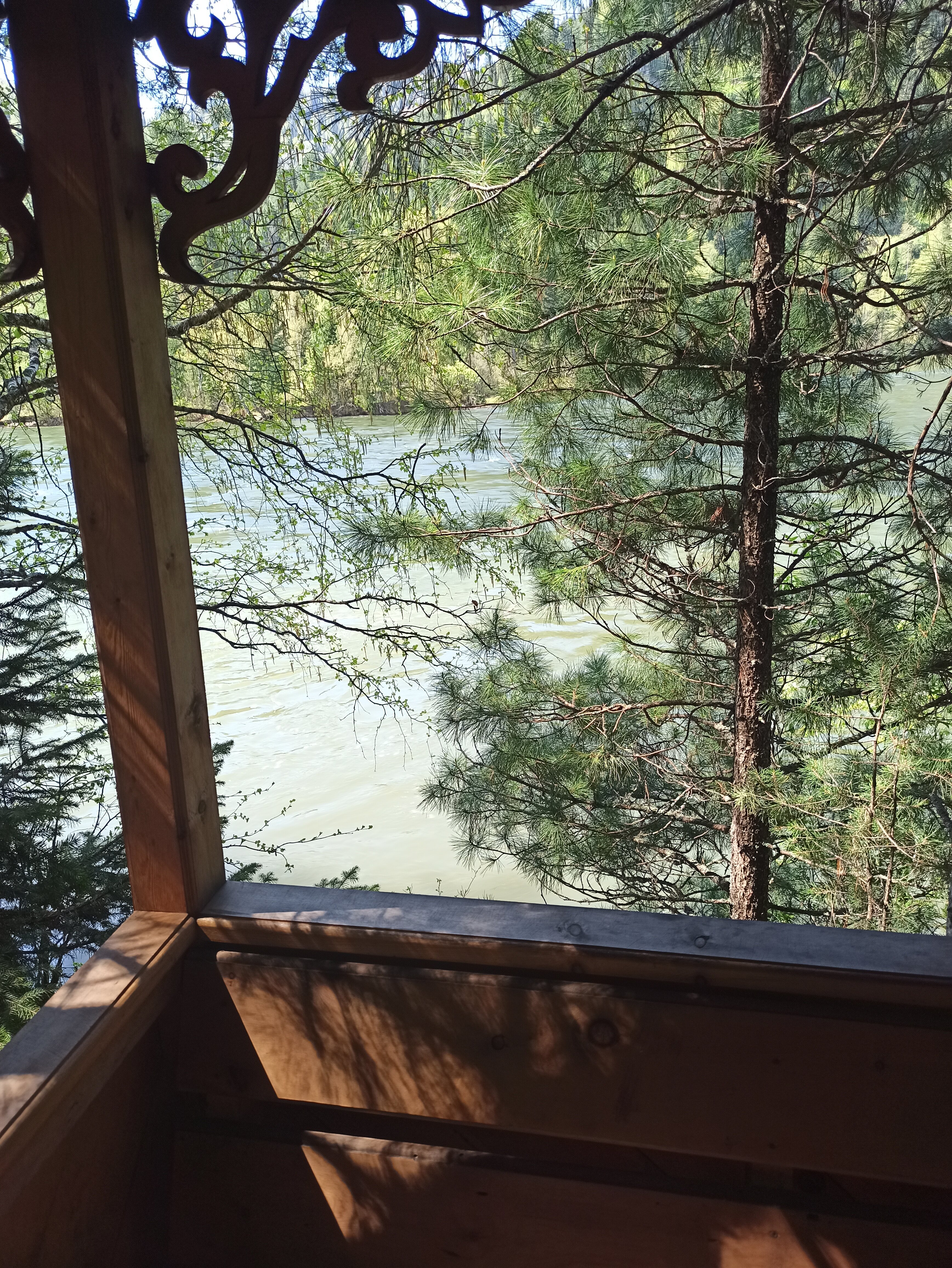 Фото Бия заповедная