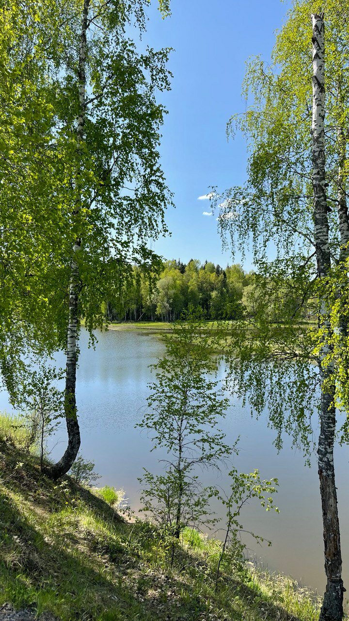 Фото Простор