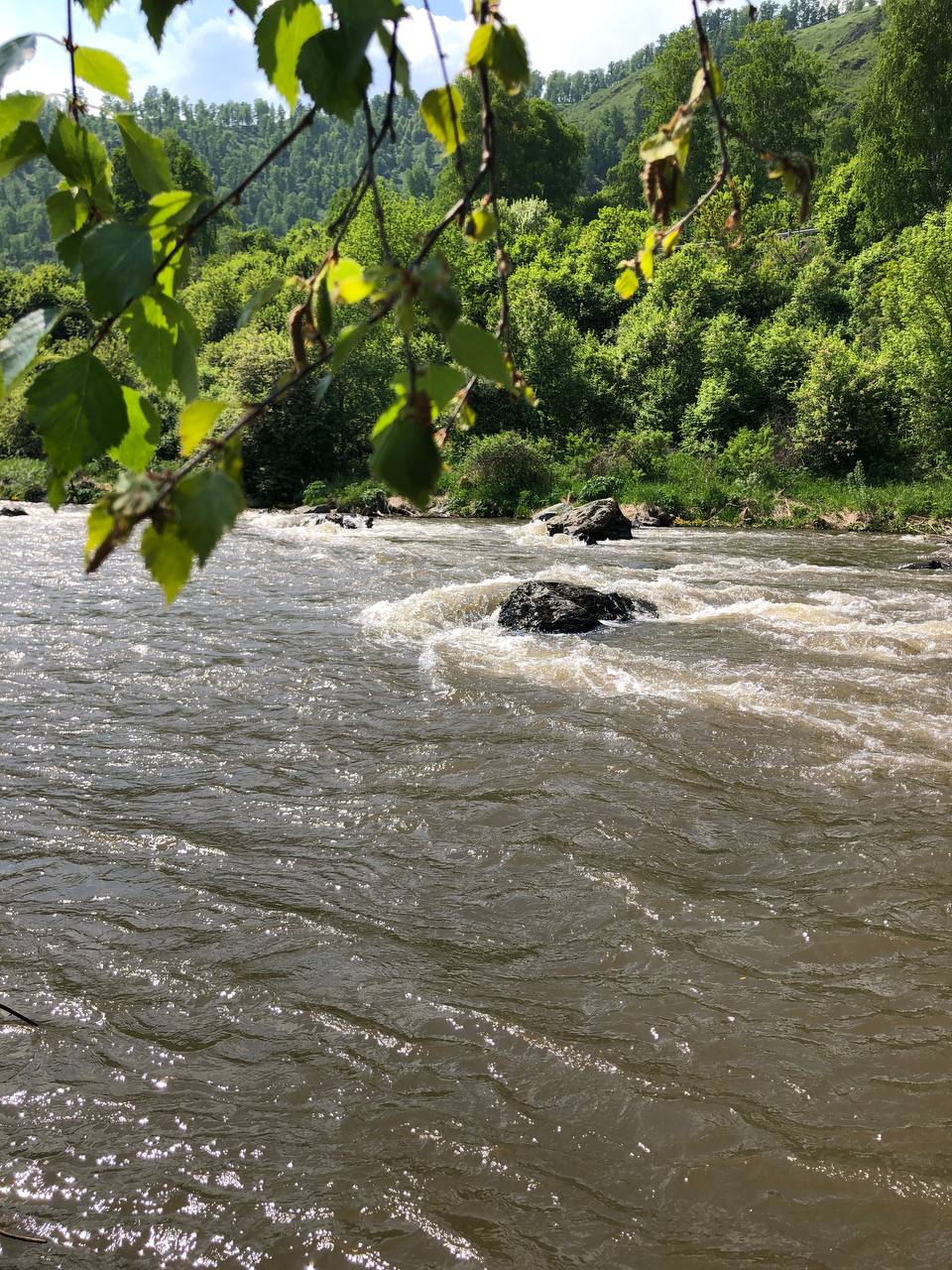 Фото Чедоев привал