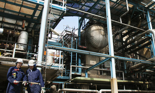 Management company Horizon Chemicals Trading LLC, Dubai, photo