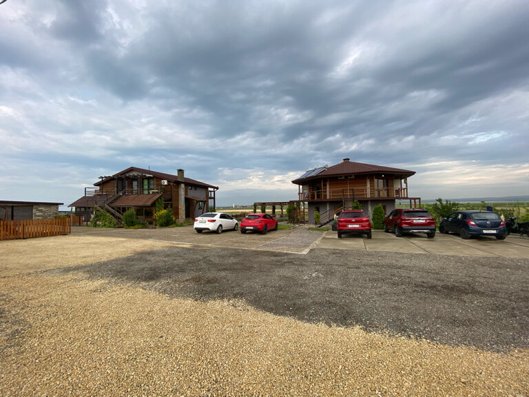 Фото Фридом