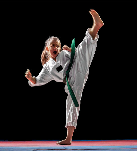 Sports school Nippon Karate Center, Abu Dhabi, photo