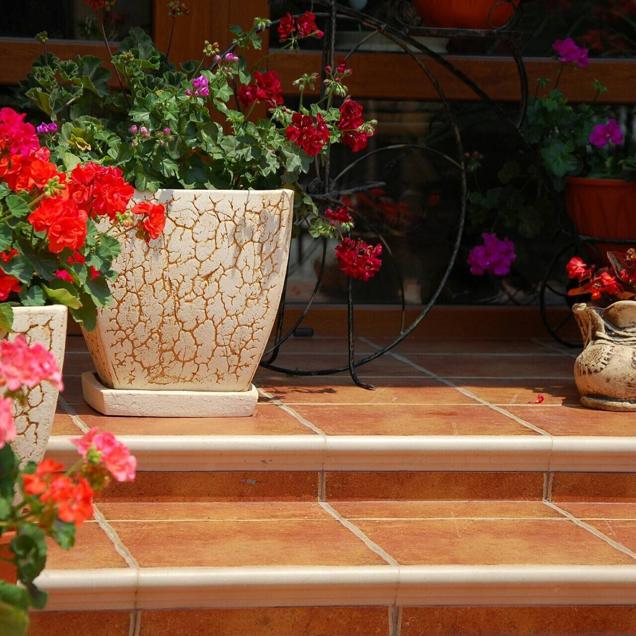 Фото Верона