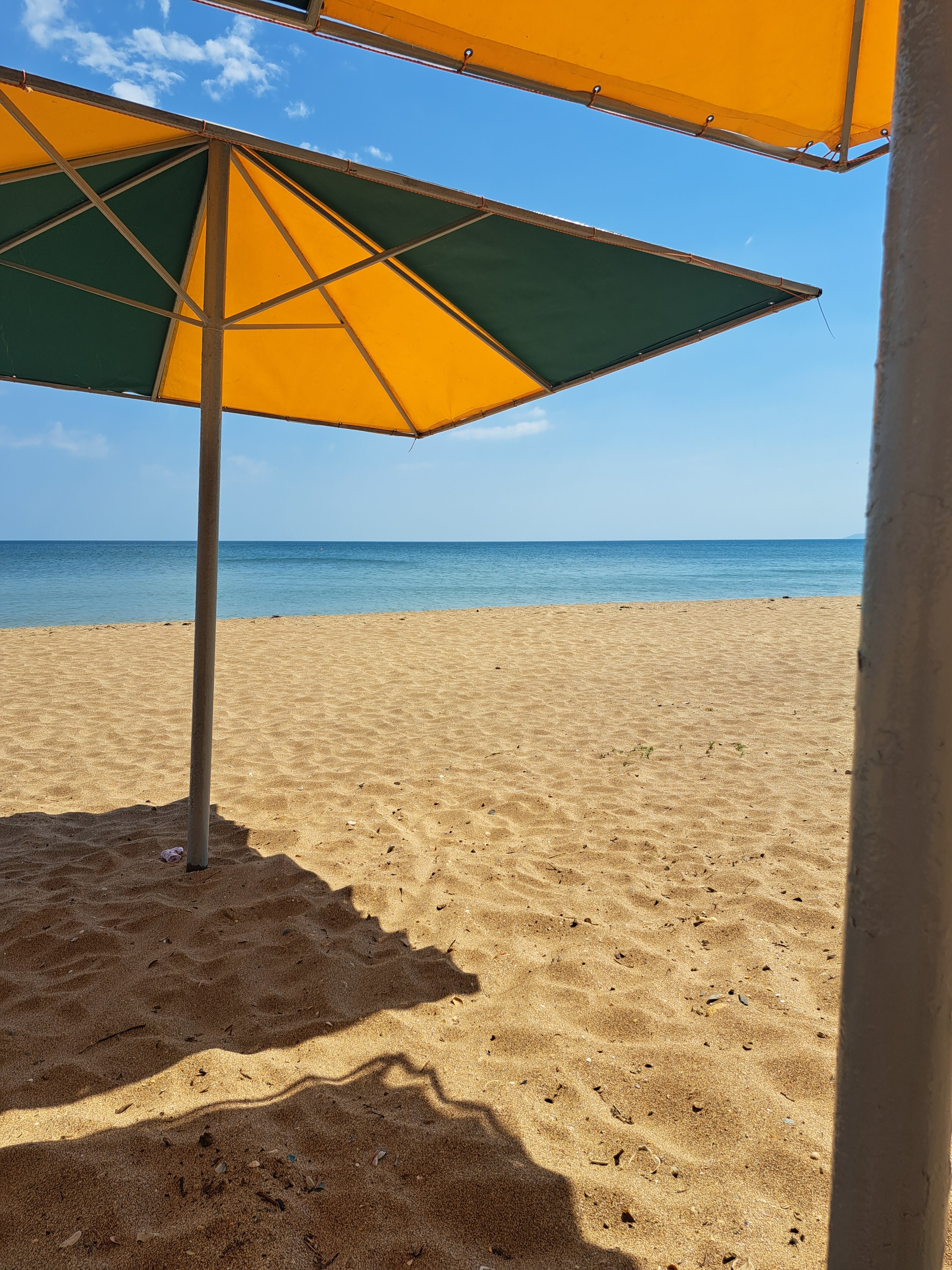 Фото Эллинг Приморец