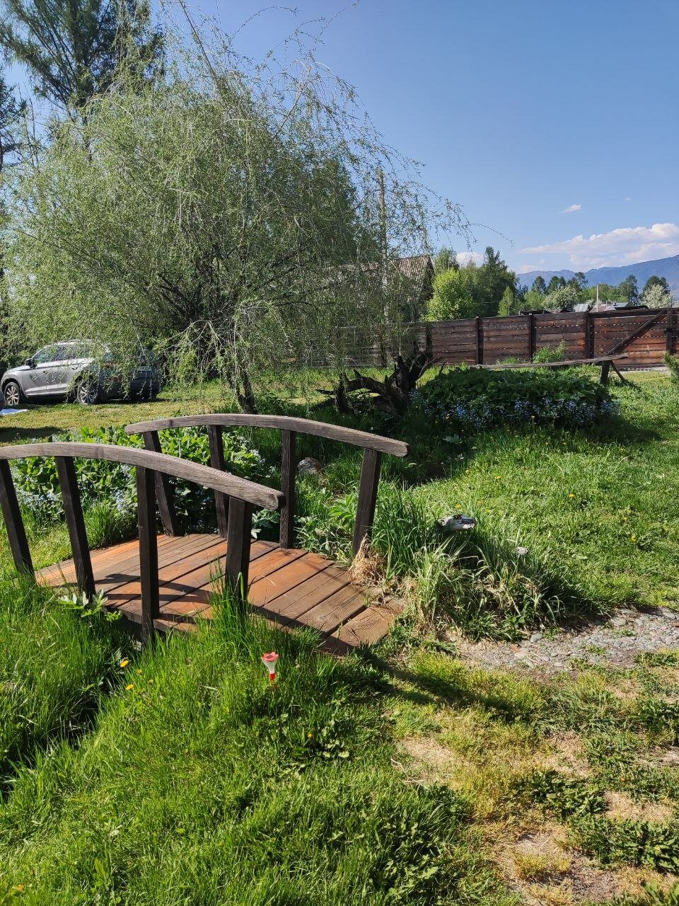 Фото Алтайна