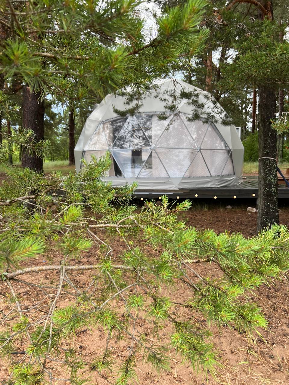 Фото Вéззика