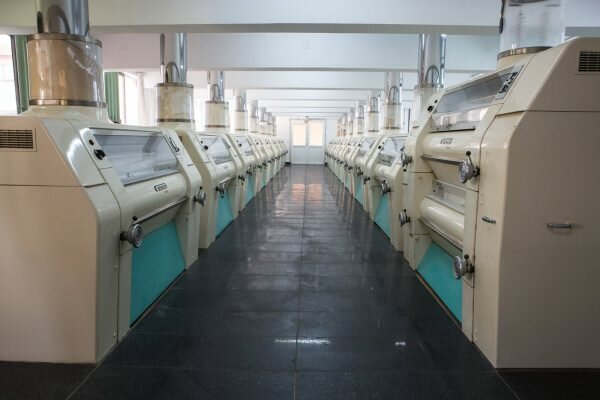 Industrial enterprise Teksin Un, Merzifon, photo