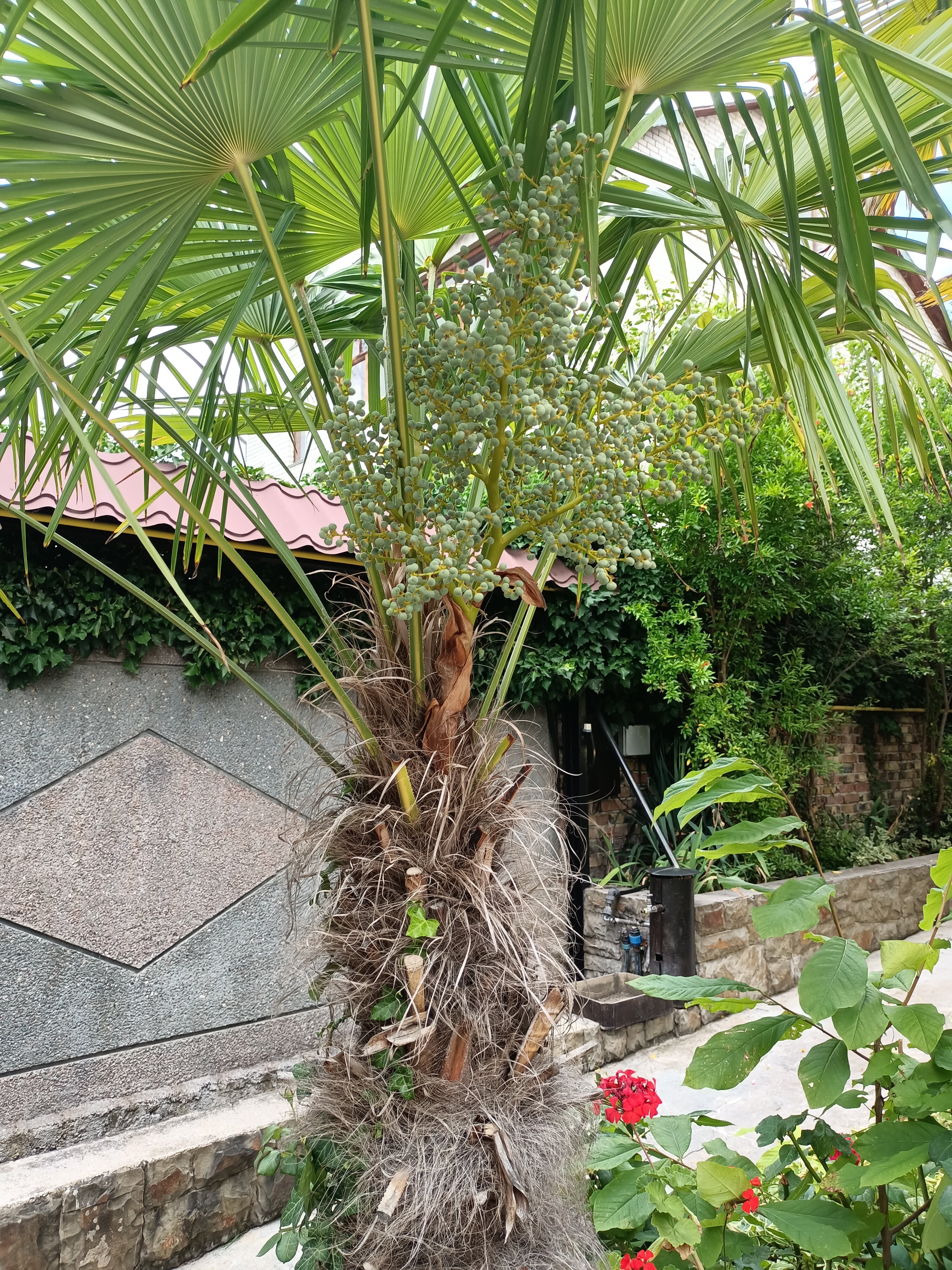 Фото Надежда