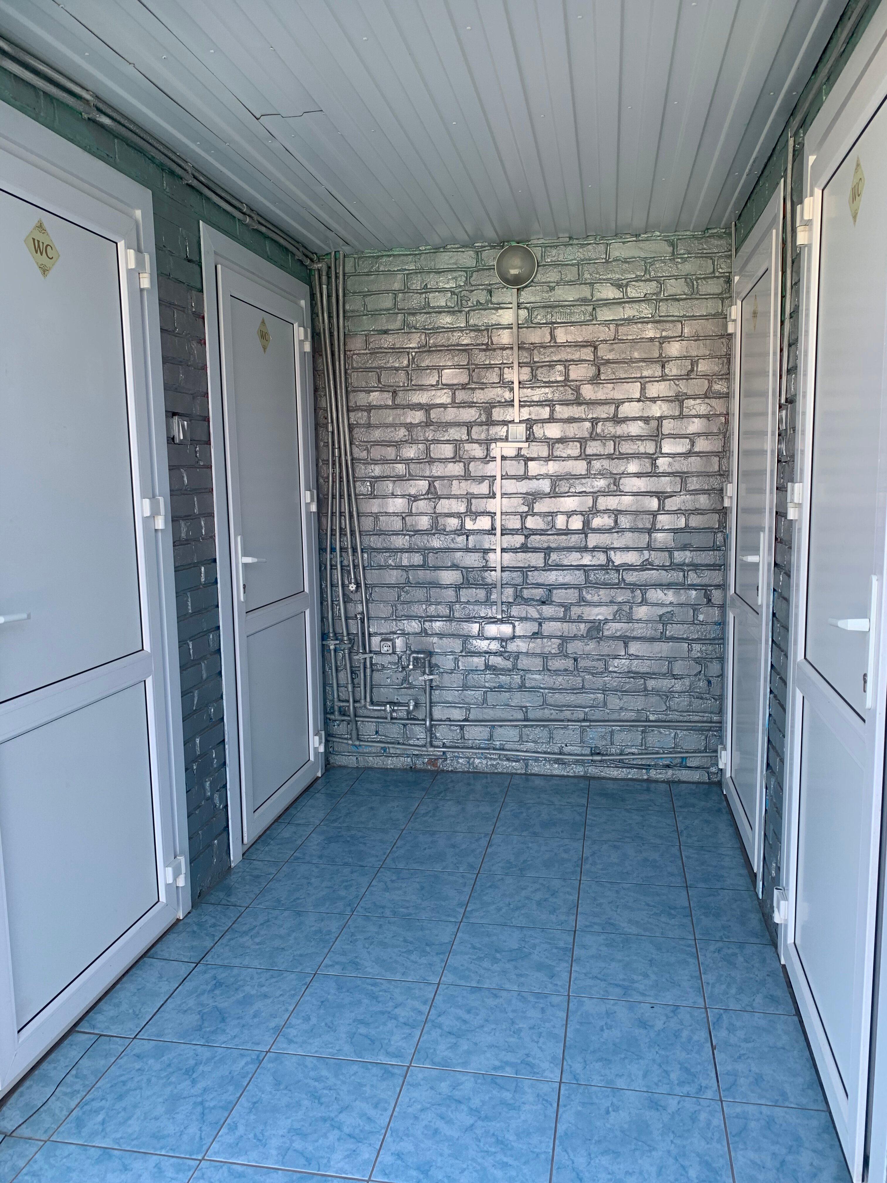 Фото Лазурное Яровое