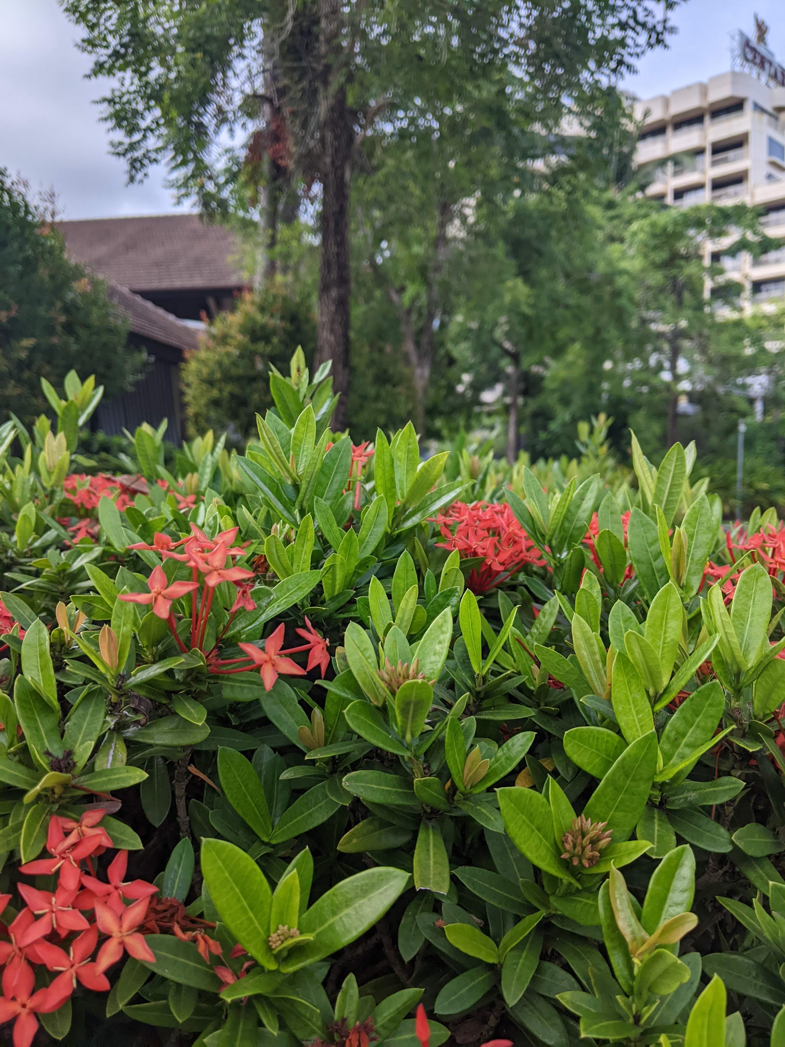 Фото Centara Karon Resort Phuket