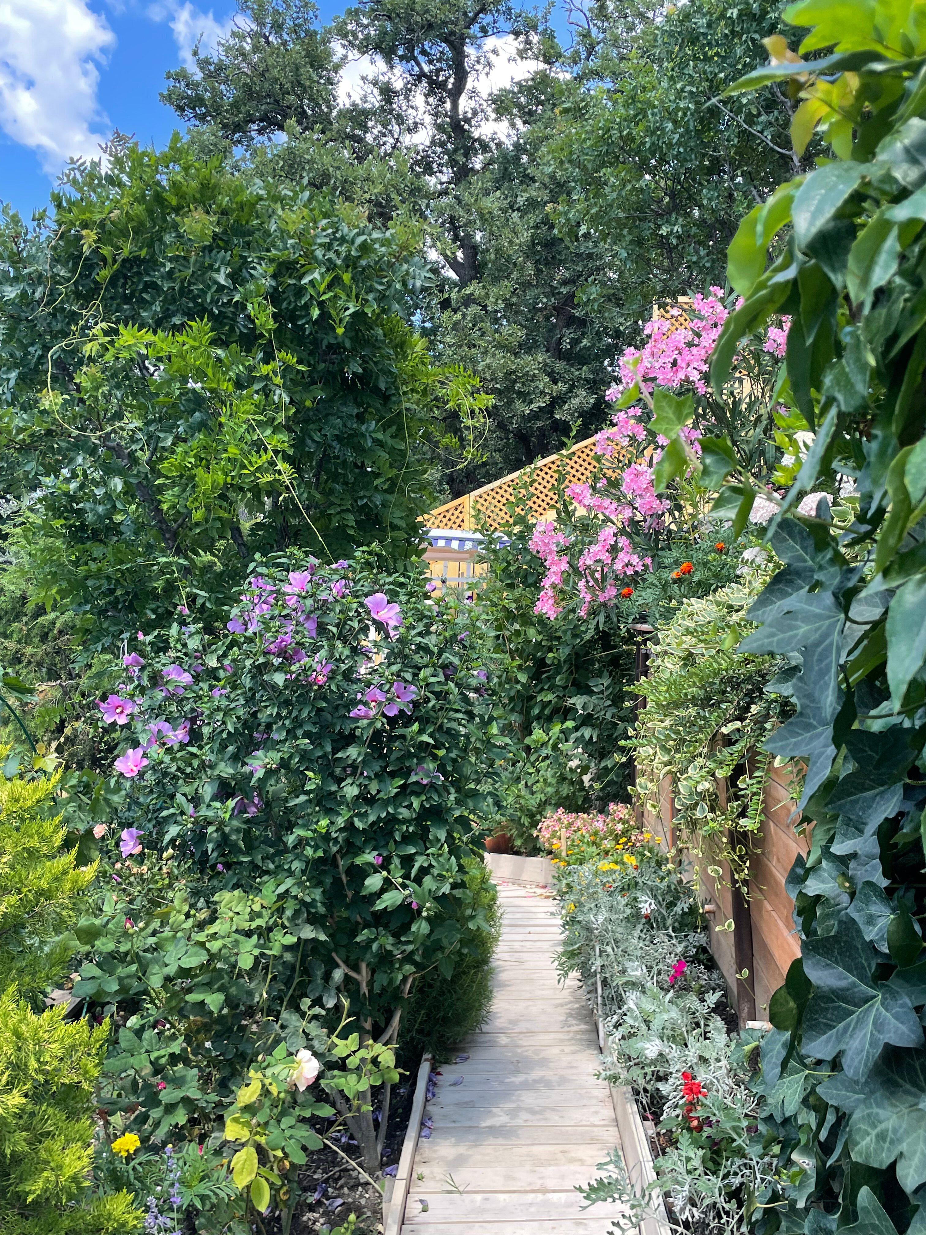 Фото Арт Прованс у моря