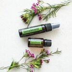 DoTERRA (Pavshinskaya Street, 2), distributors of cosmetics and household chemicals