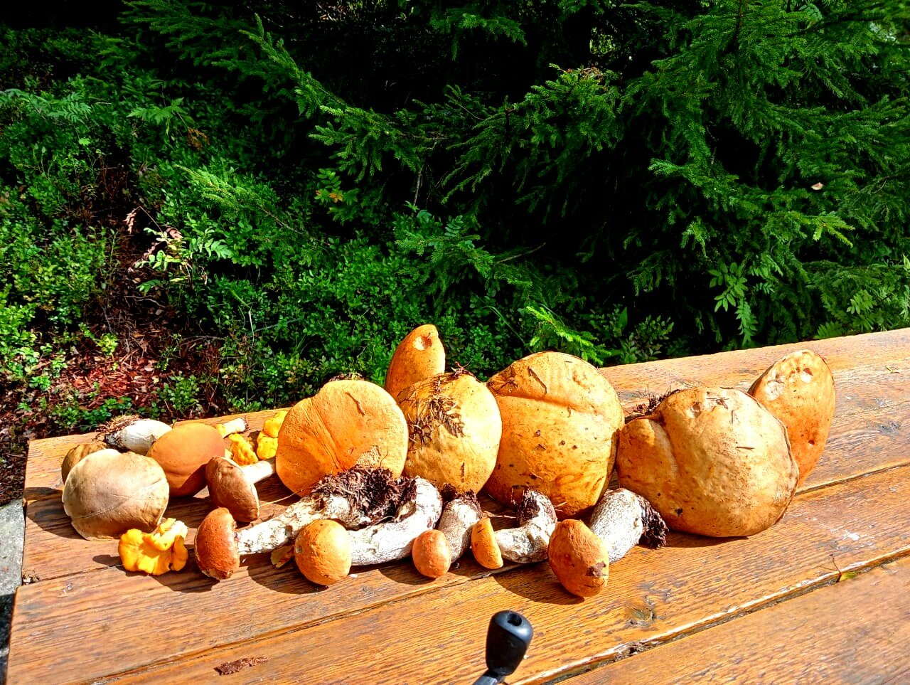 Фото Хутор ЛихKoff