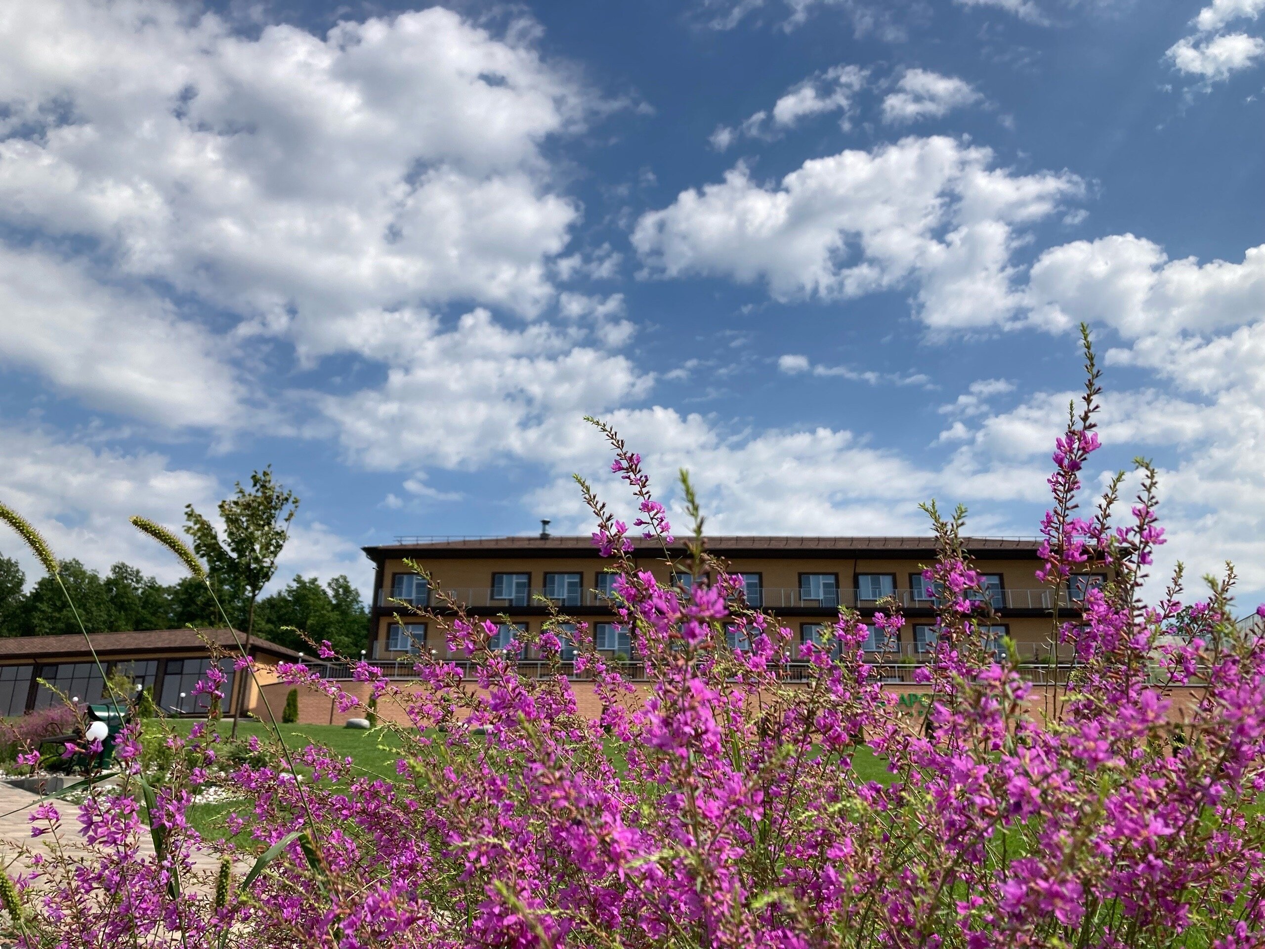 Фото Арсеньево