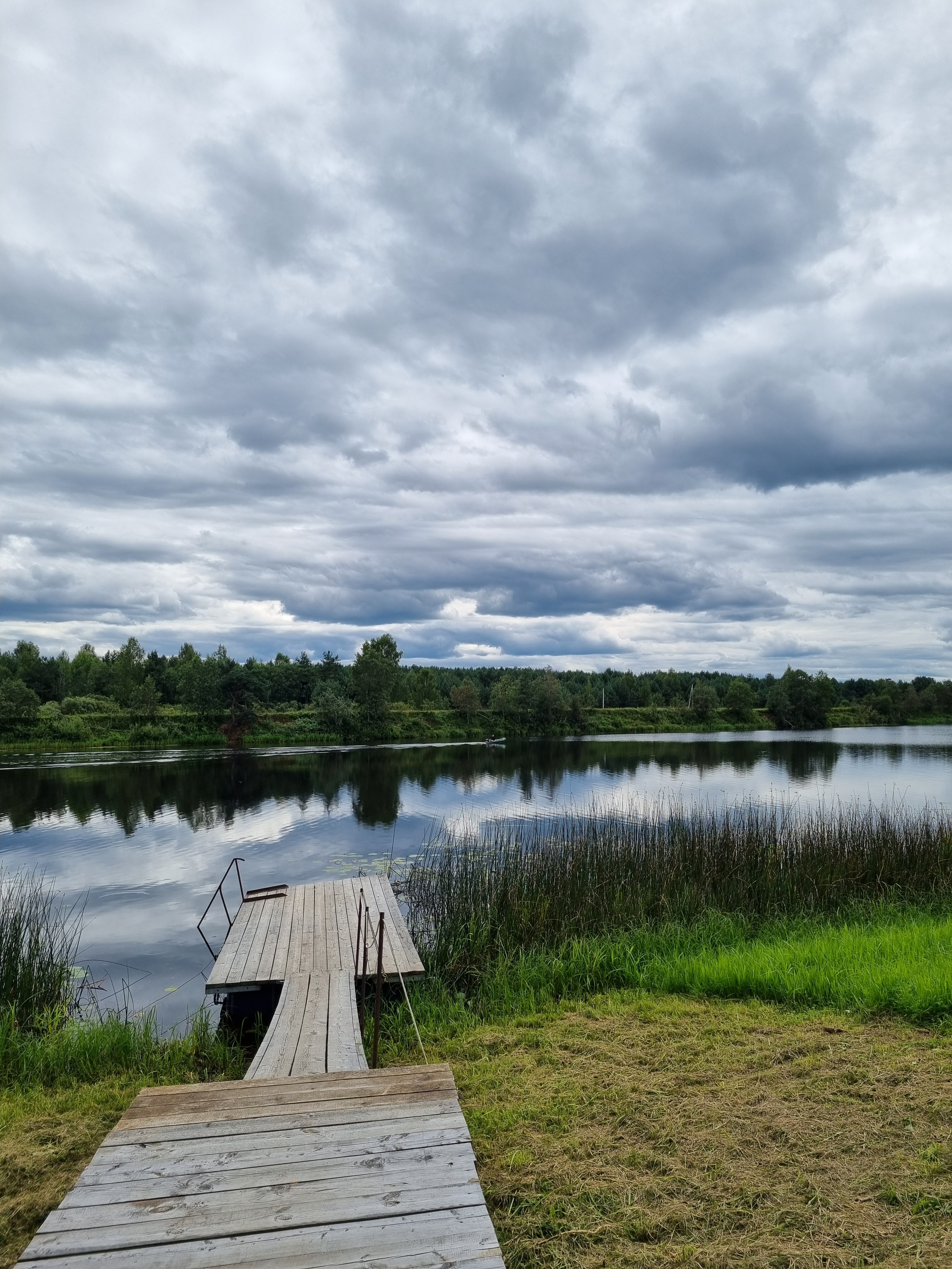 Фото Медведица Шанти