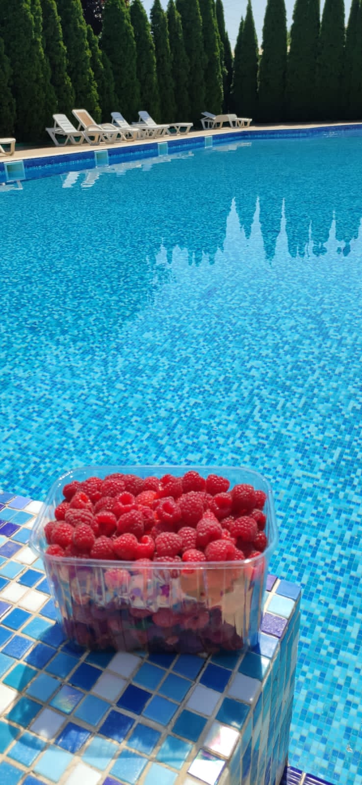 Фото Апельсин