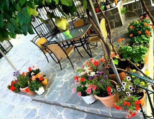 Фото Ziogas Apartments