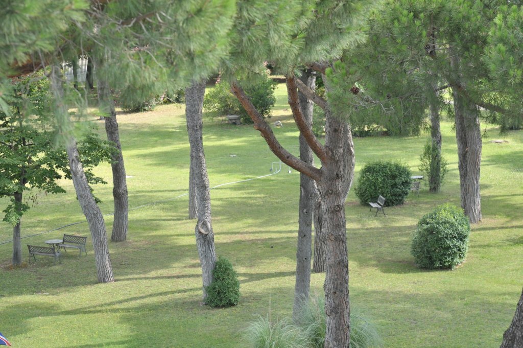 Фото Hotel Salus Terme