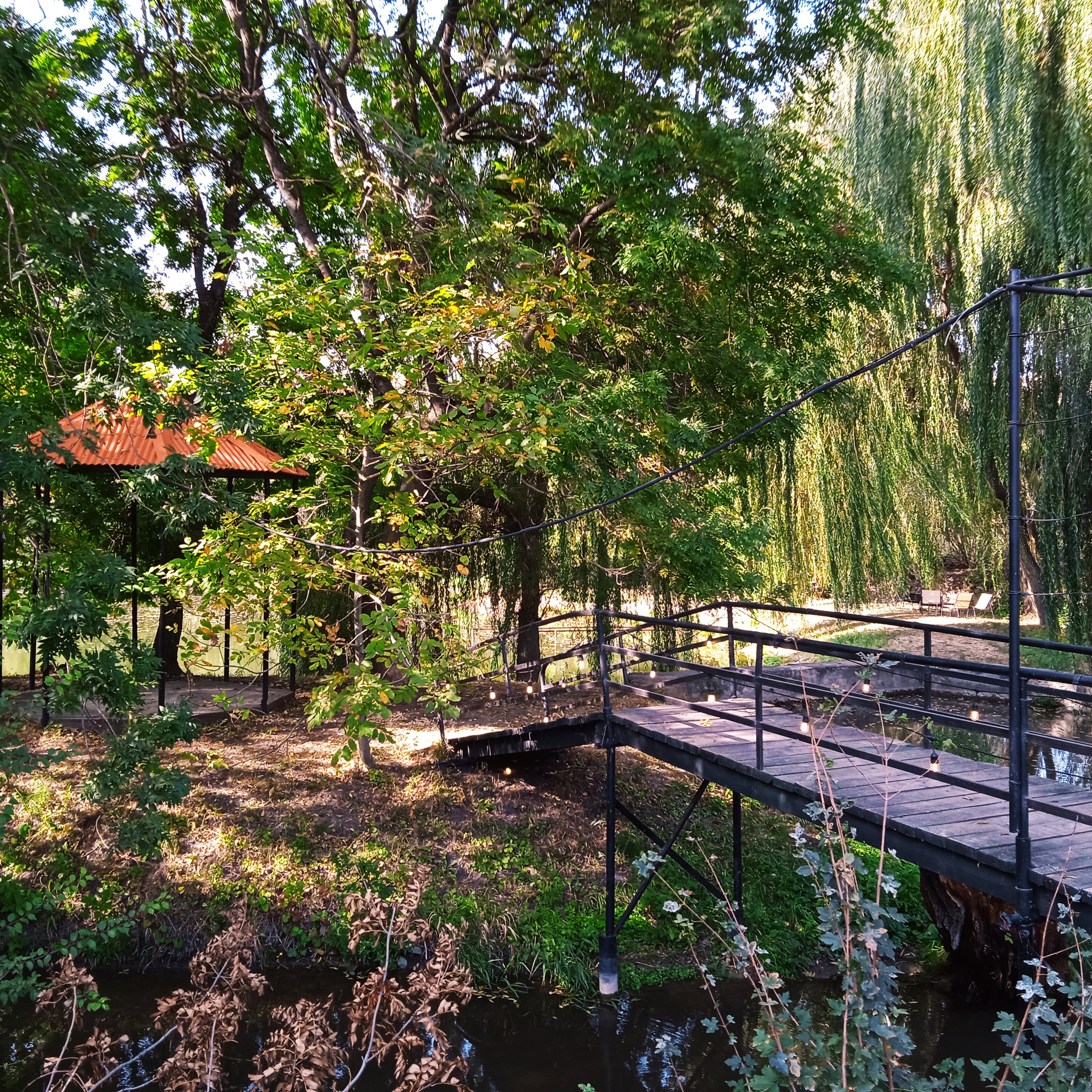 Фото Тихий пруд