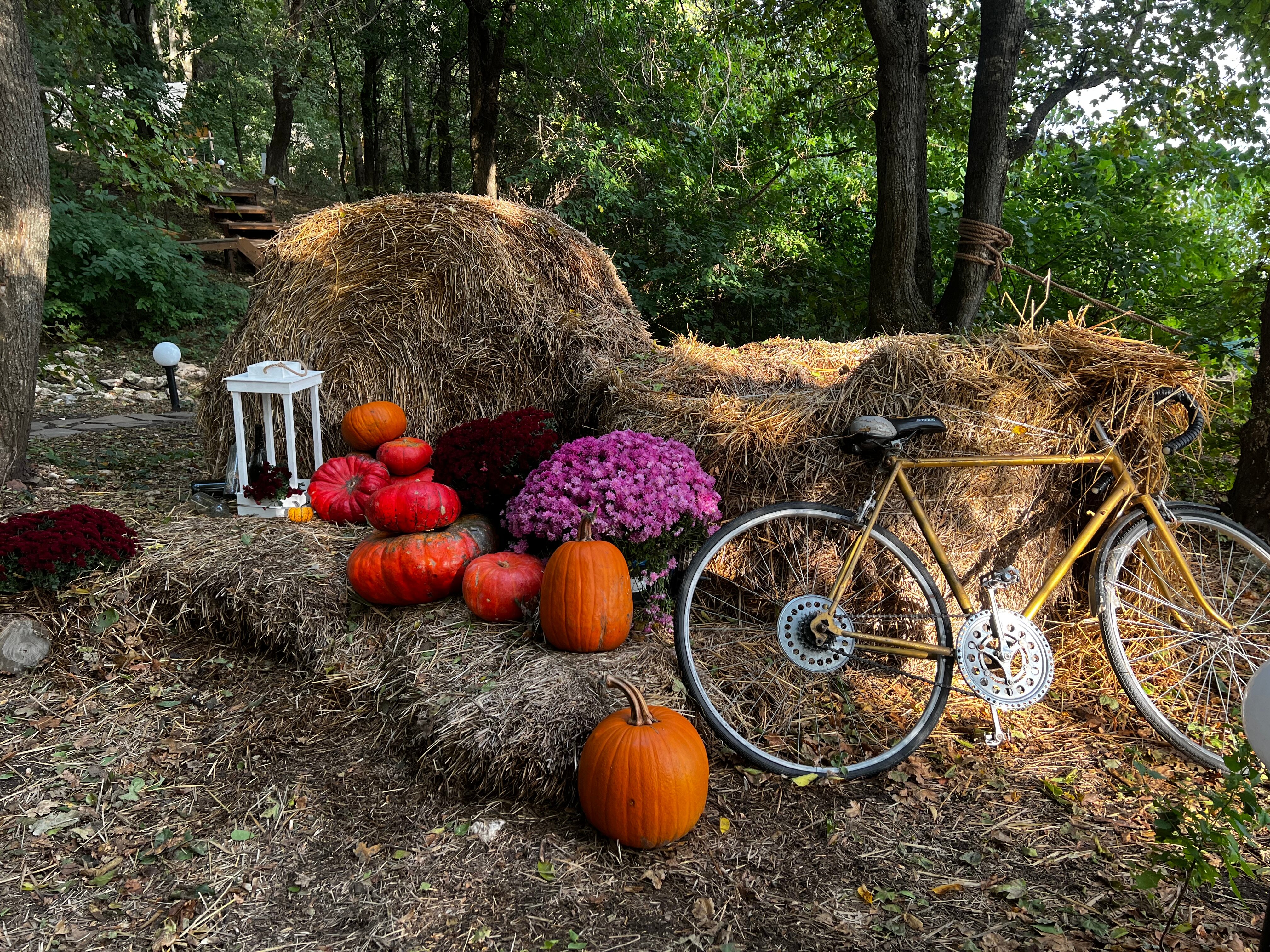 Фото River Glamp