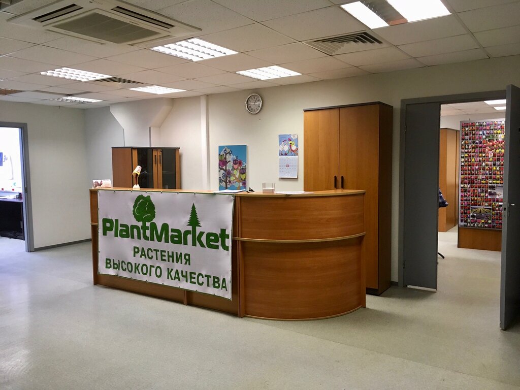 Плантмаркет Интернет Магазин Растений