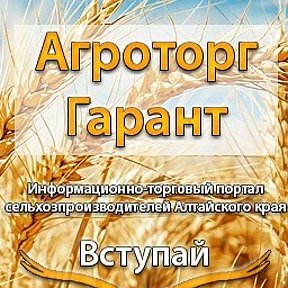 Информационный интернет-сайт АгроТоргГарант, Барнаул, фото