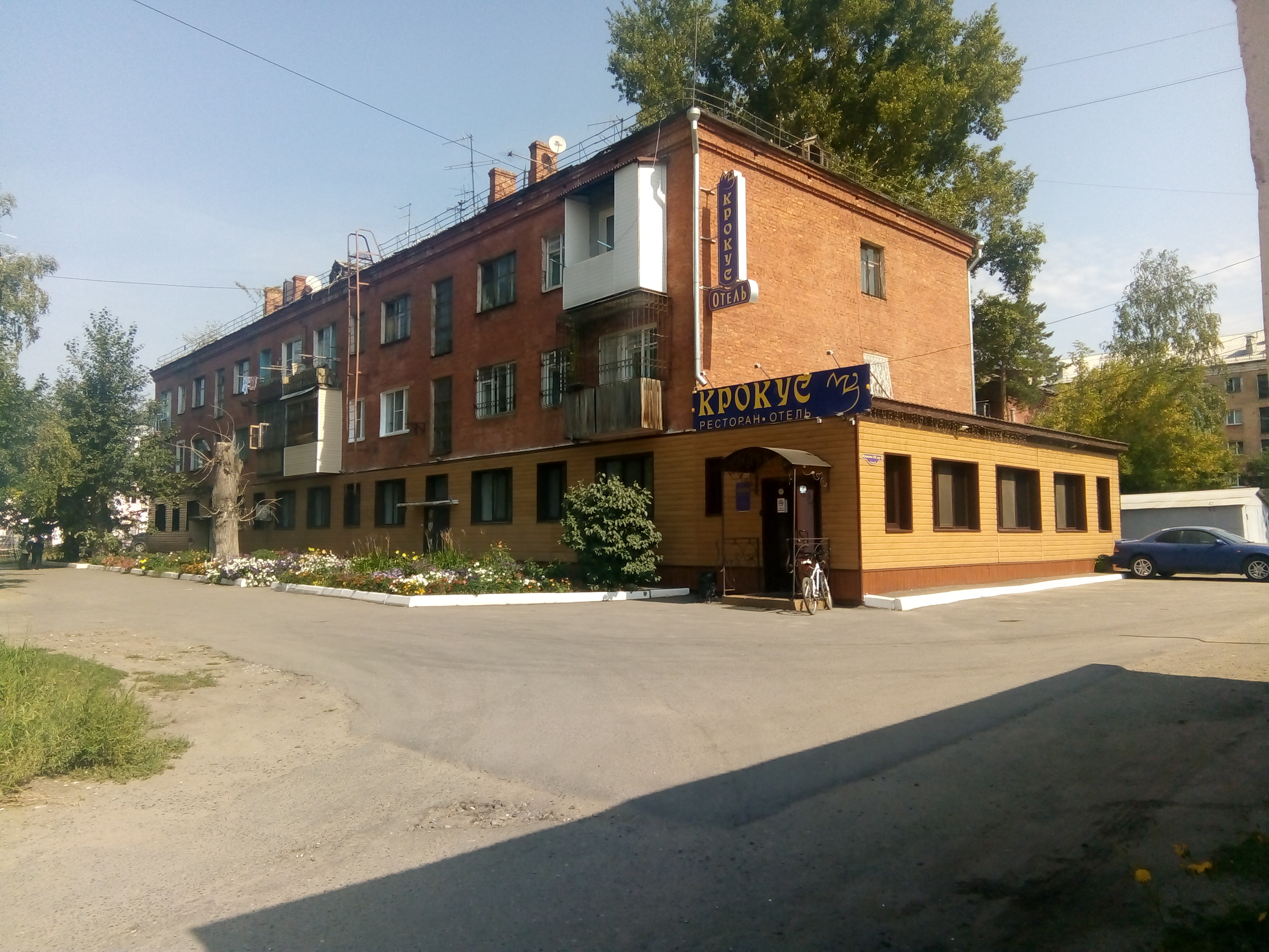 Фото Крокус