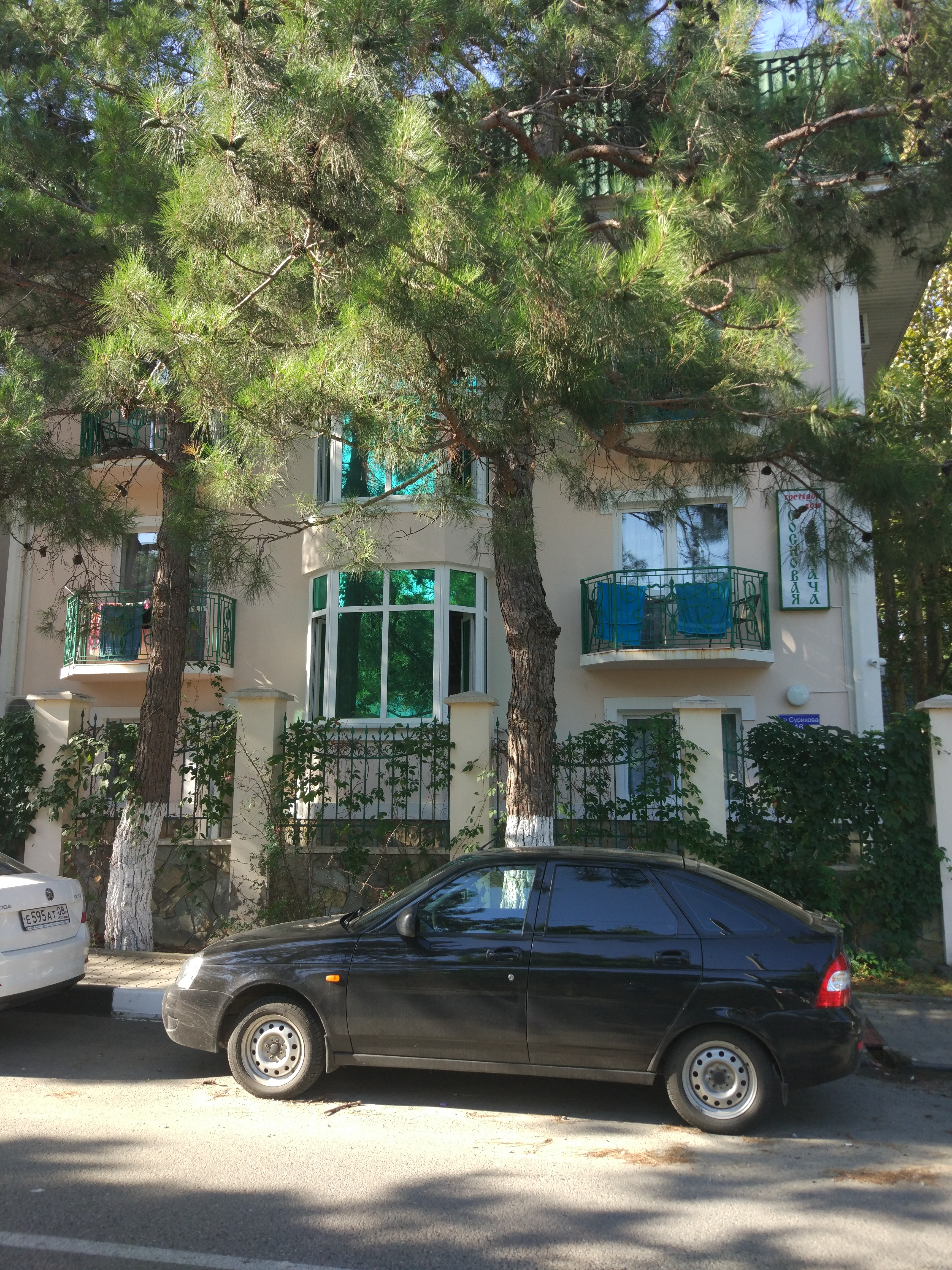 Фото Сосновая дача