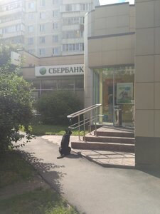 Сбербанк, Советская улица, 40 — Королёв
