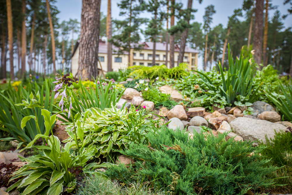 Фото Славянка