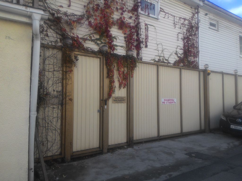 Фото Эдельвейс