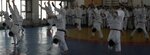 Klub Aykido Aykikay (Studencheskaya ulitsa, 5) ، نادي رياضي، مجموعة