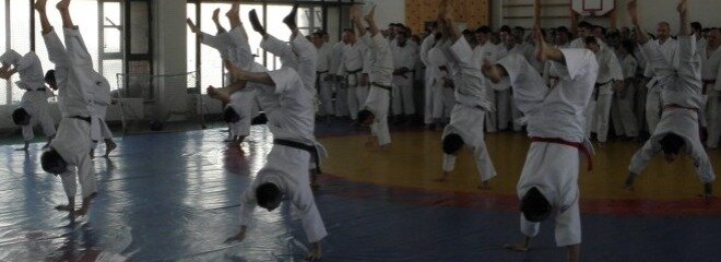 Sports club Айкидо Айкикай, Smolensk, photo