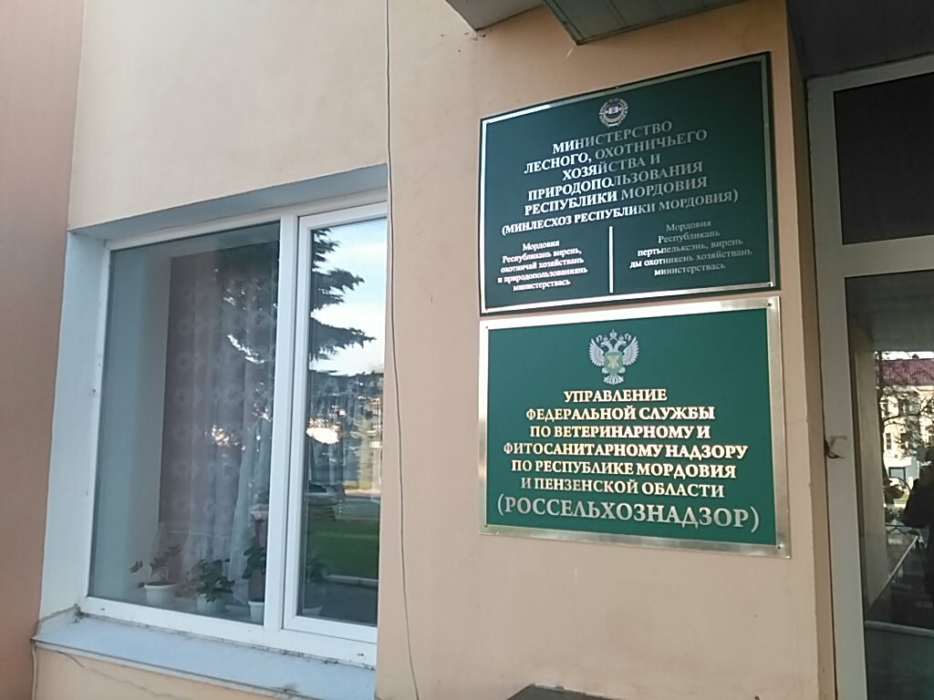 Government ministries, services Ministerstvo lesnogo, okhotnichyego khozyaystva i prirodopolzovaniya Respubliki Mordoviya, Saransk, photo