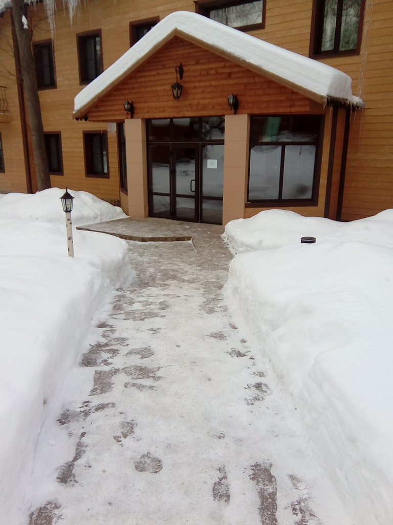 Фото Русский лес