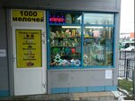 1000 Мелочей (Moskovskoe Highway, 31А) ، أدوات منزلية