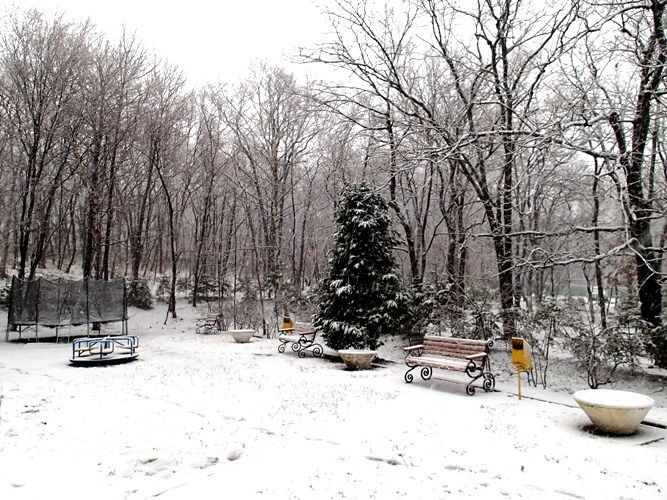 Фото Русский Ренессанс