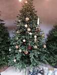 Dreamtrees (Baltiyskaya Street, 23), christmas trees and christmas decorations