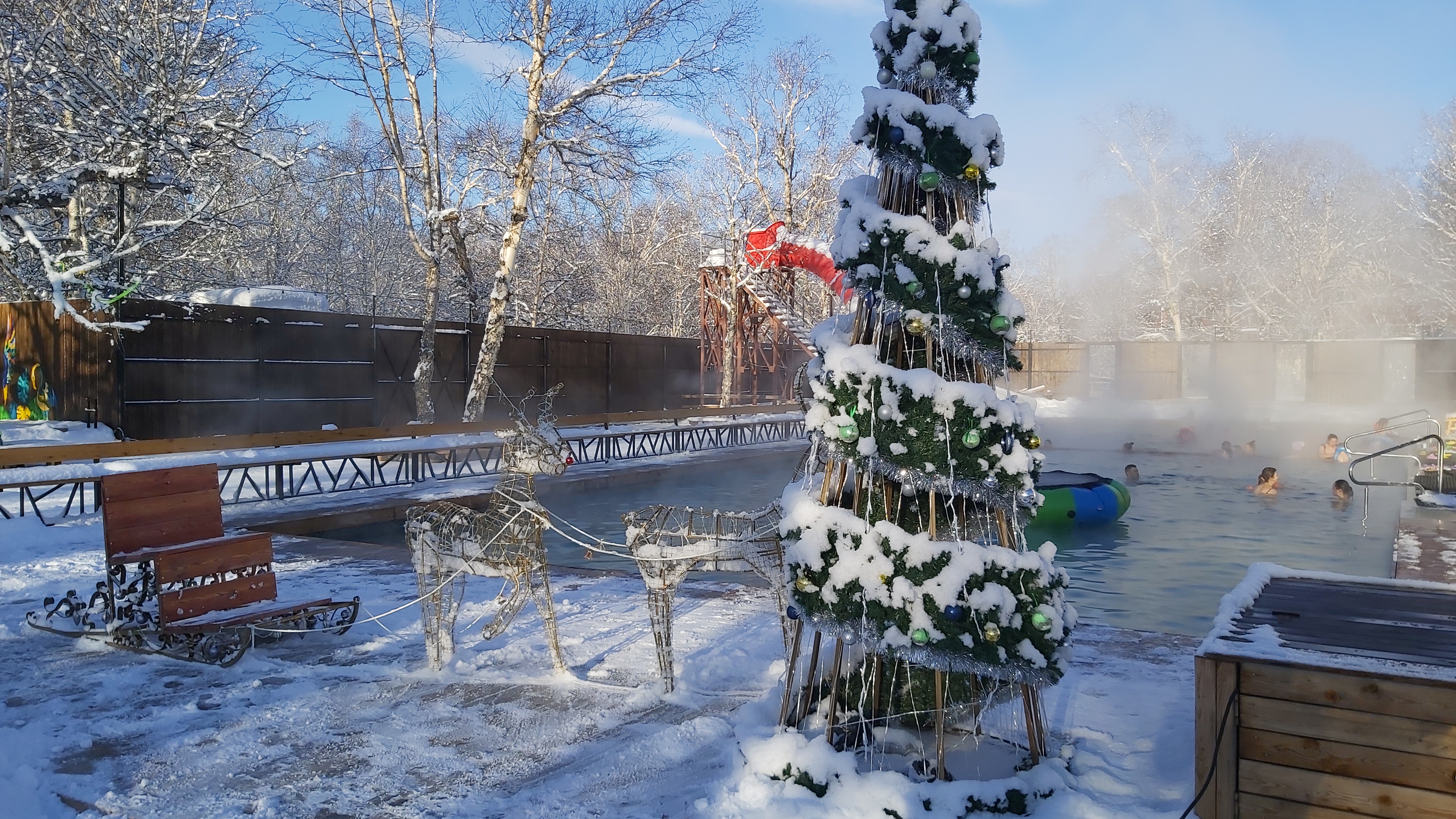 Фото Солнечная