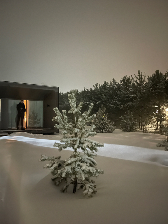 Фото Веточка