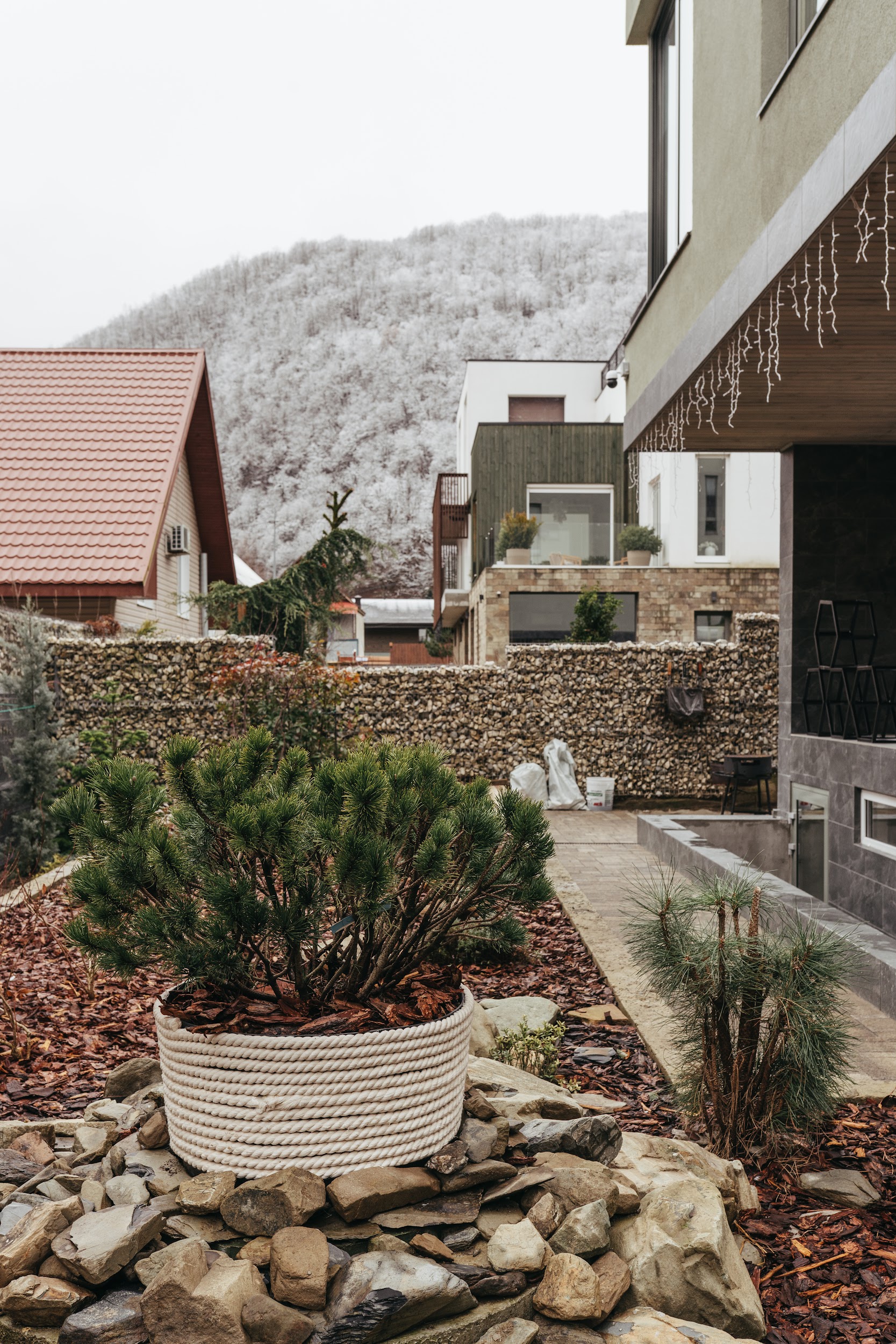 Фото Куб Грин