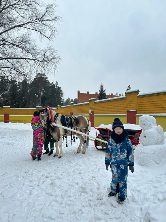 Фото Богородская