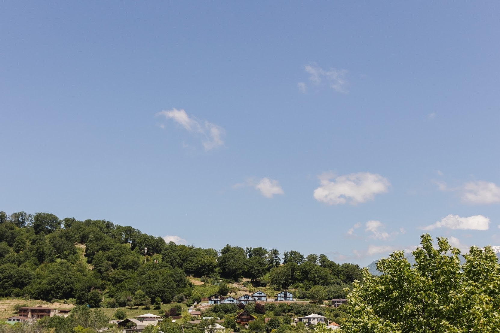 Фото Талион