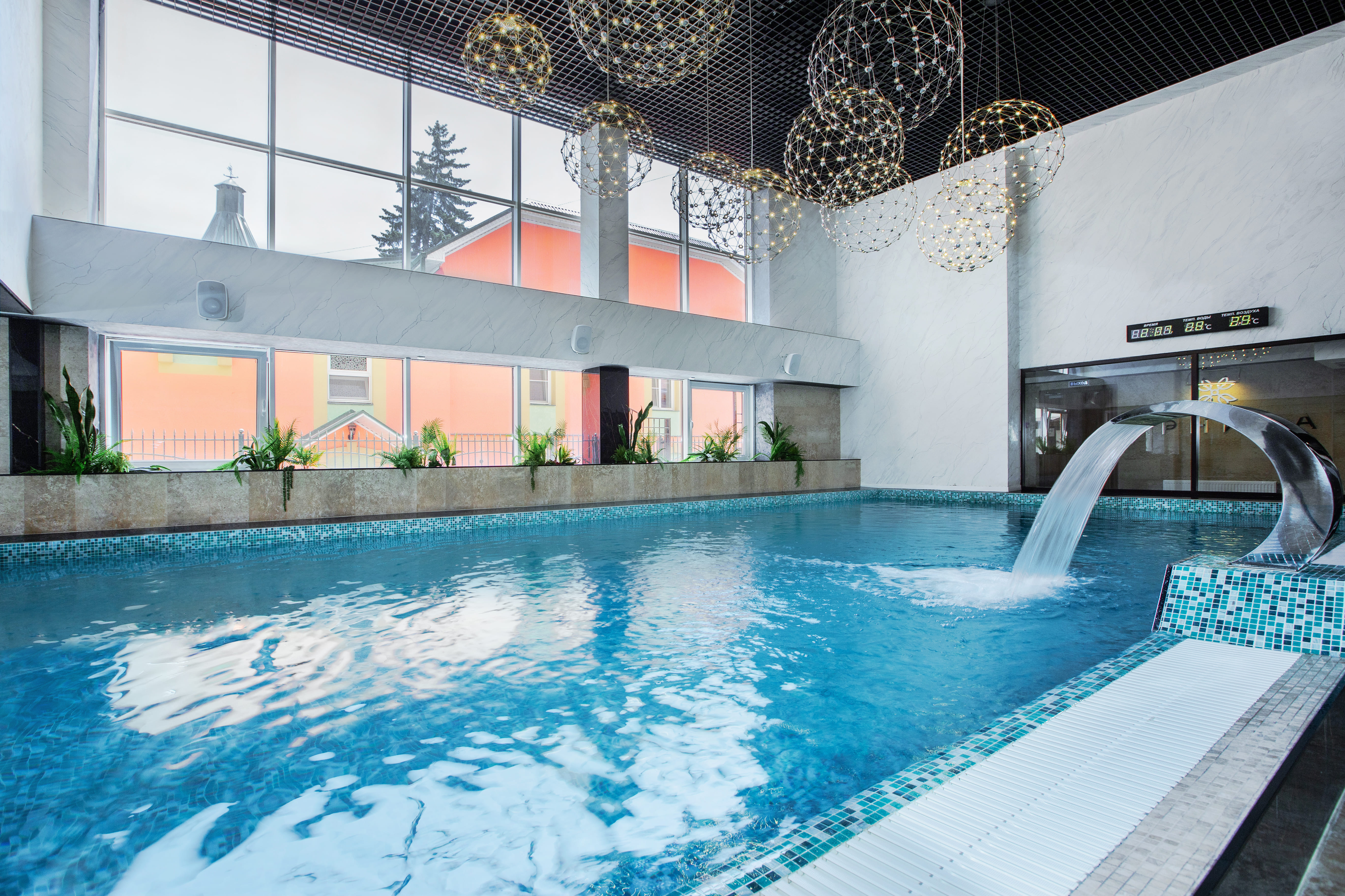 Фото Арника