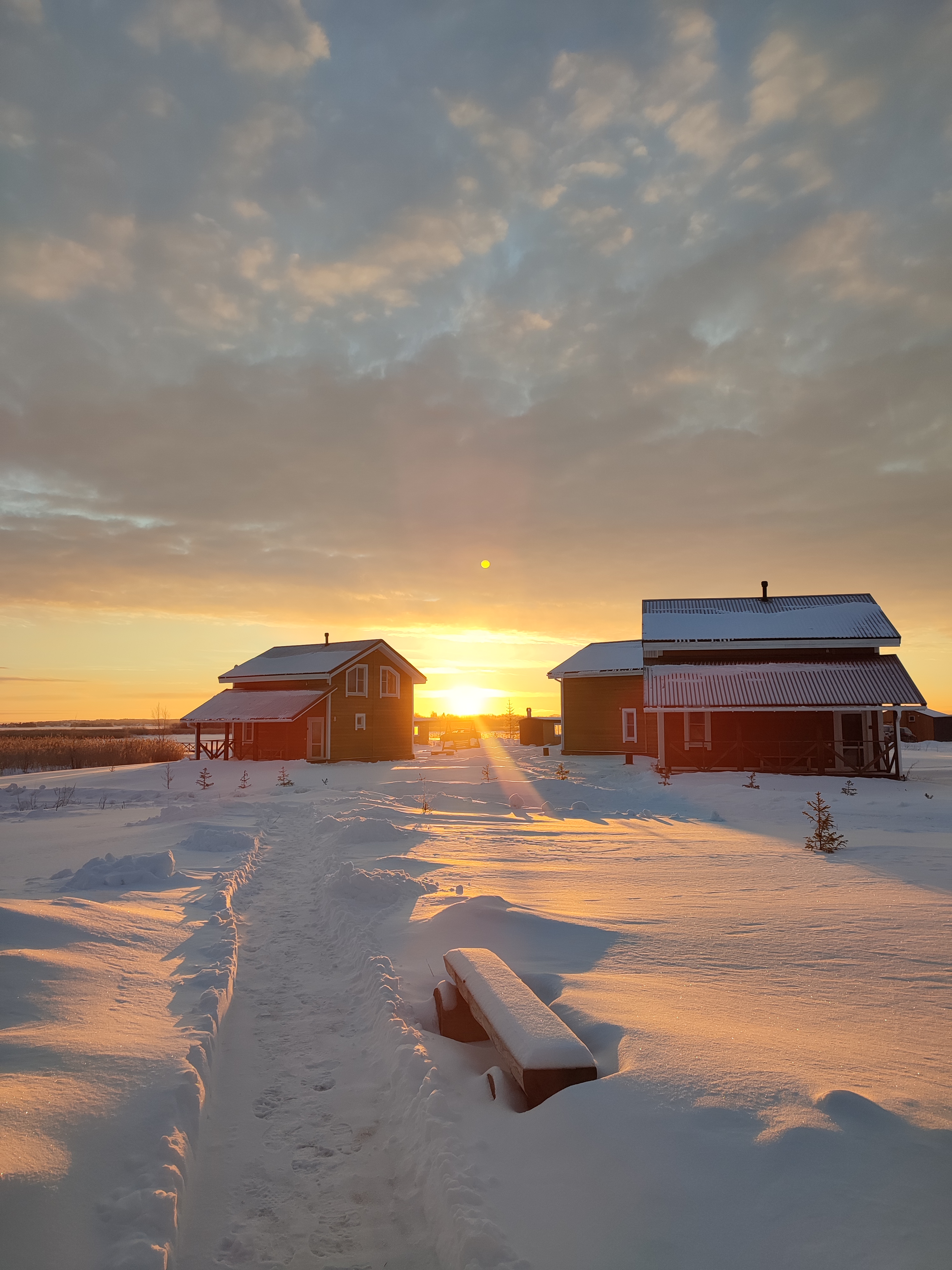 Фото Хитрый Лис