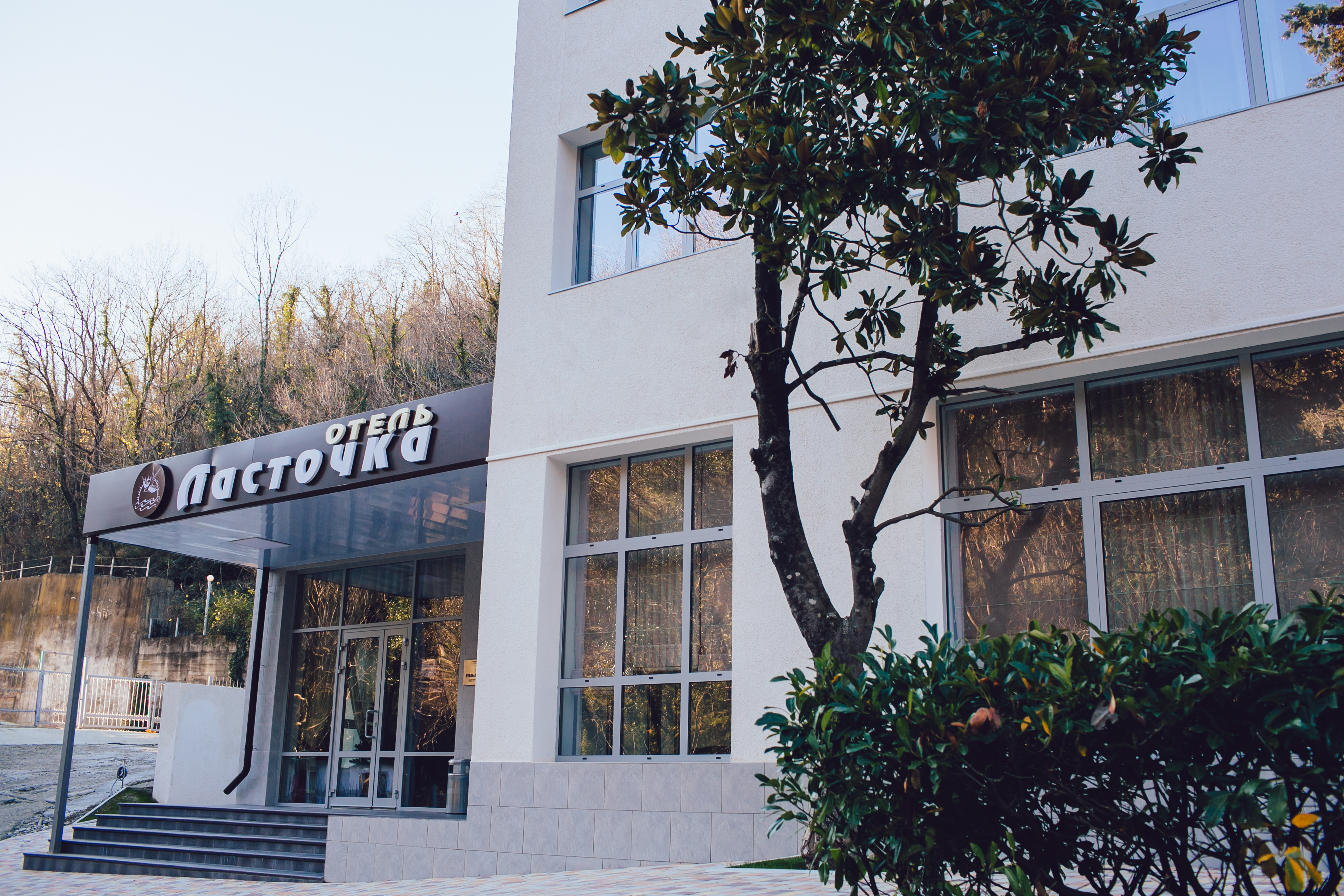 Фото Ласточка