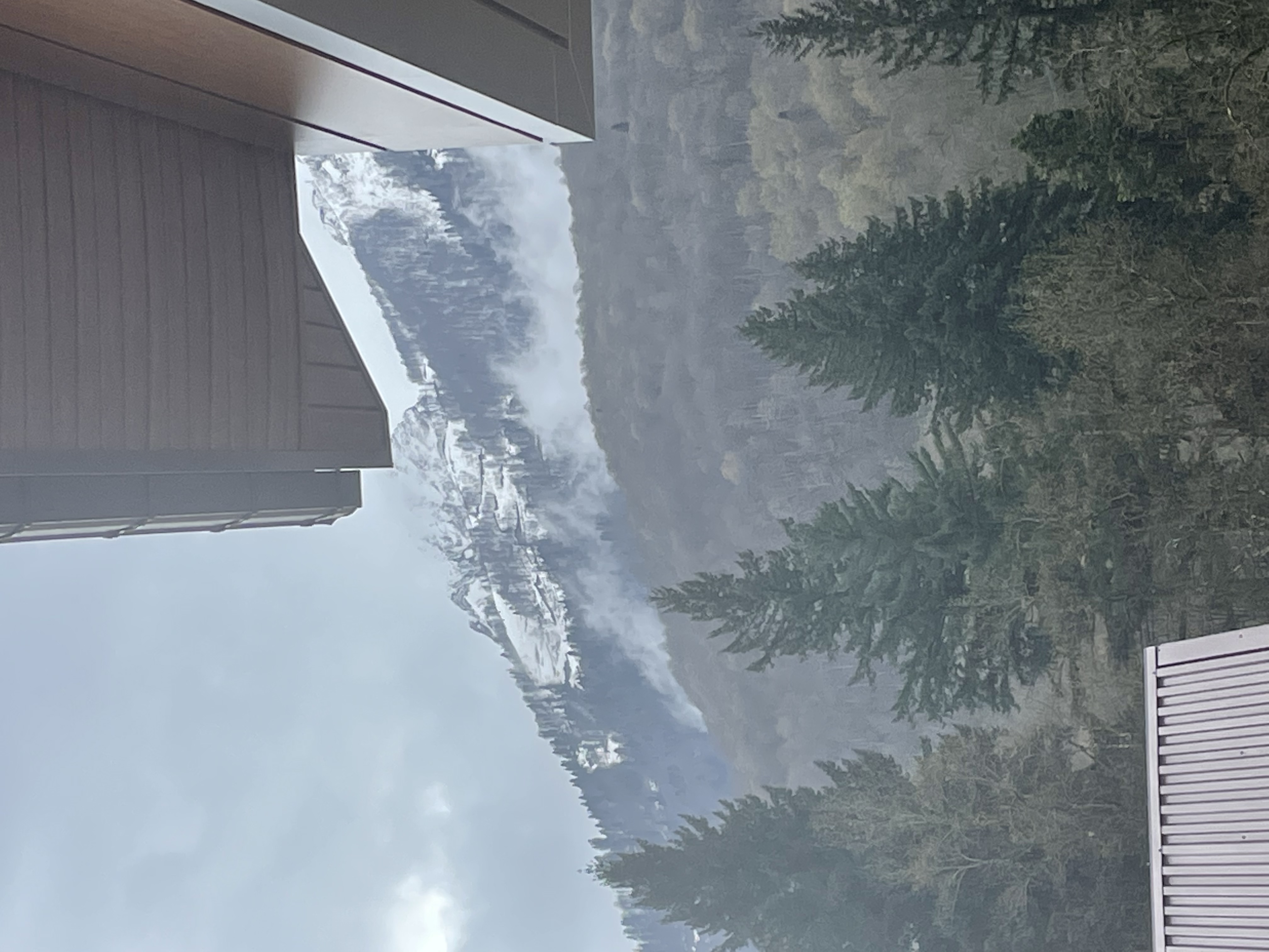 Фото Вальс цветов